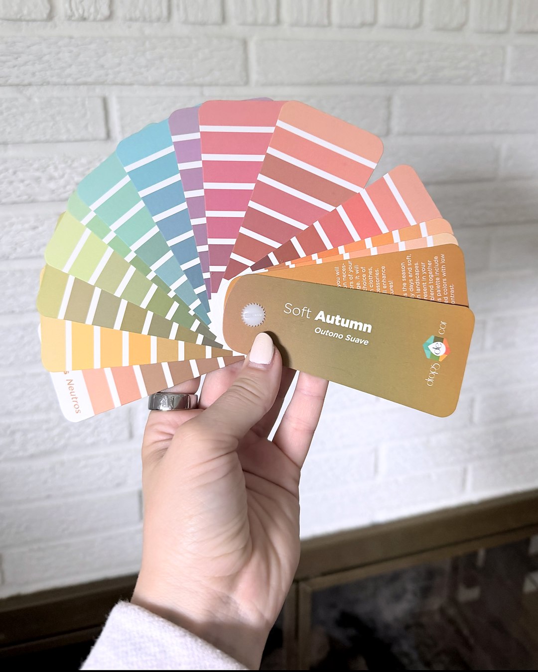 A Soft Autumn color swatch fan held up against a white brick wall